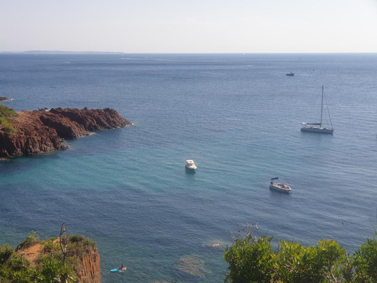 Frejus Plage T2, Piscine, Parking, Plages A 200M Luaran gambar