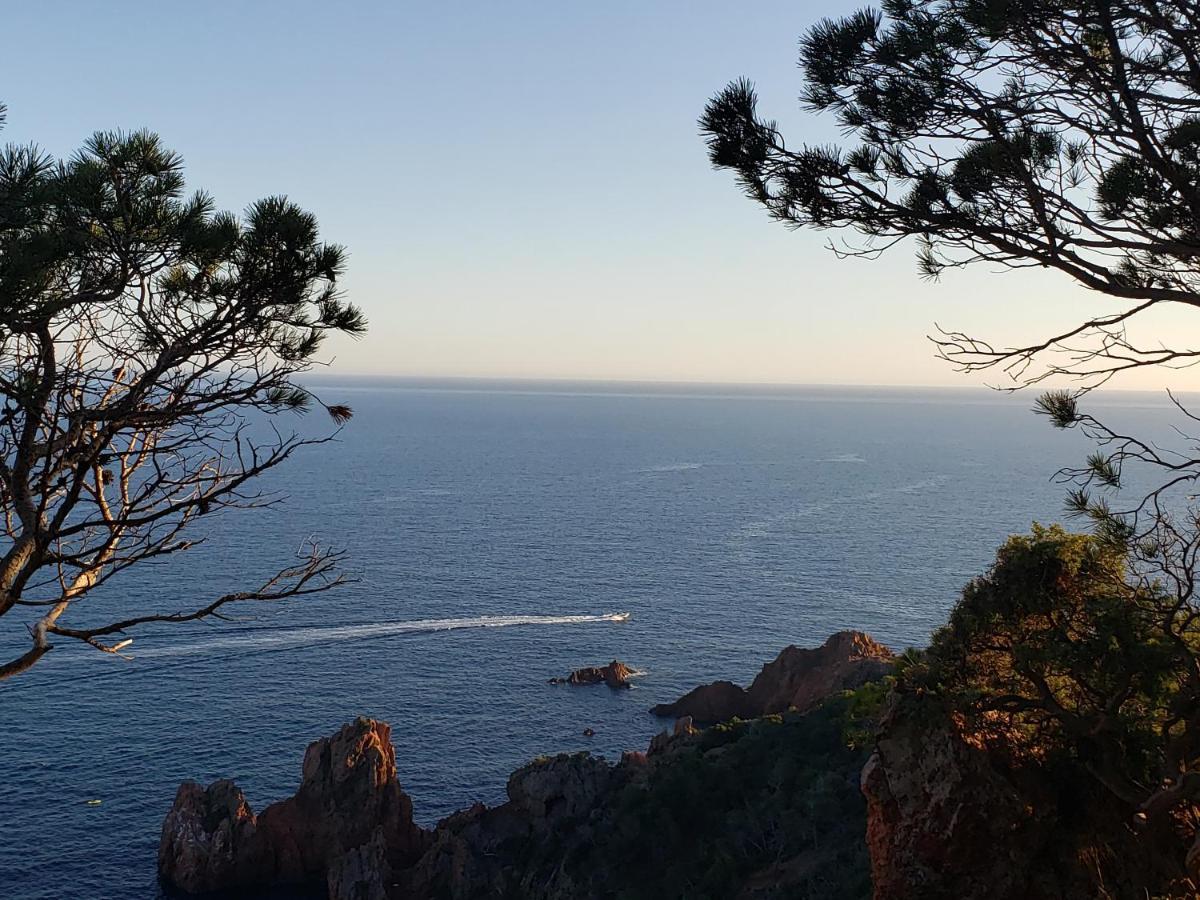 Frejus Plage T2, Piscine, Parking, Plages A 200M Luaran gambar